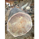 DOANH NGHIỆP TƯ NHÂN CHẾ BIẾN LÂM SẢN NAM PHƯƠNG